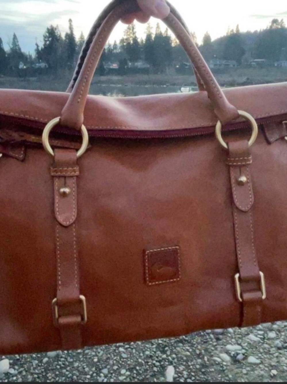 Dooney and Bourke Large Florentine Satchel Bag - Brown